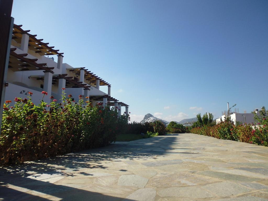 Markesi